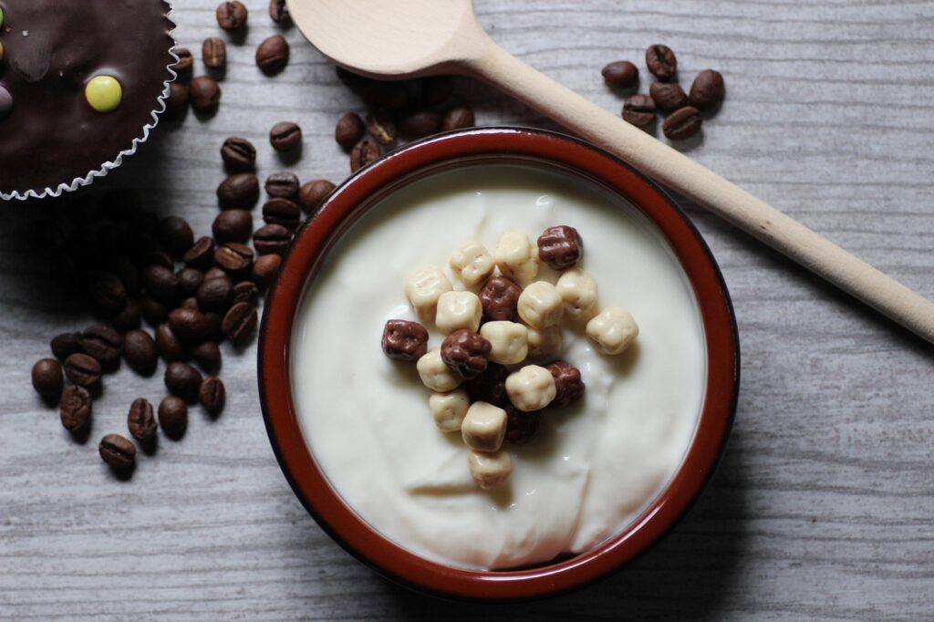 dessert, cute, sweet dish, yogurt, chocolate cube, creamy, nibble, yogurt, yogurt, yogurt, yogurt, yogurt