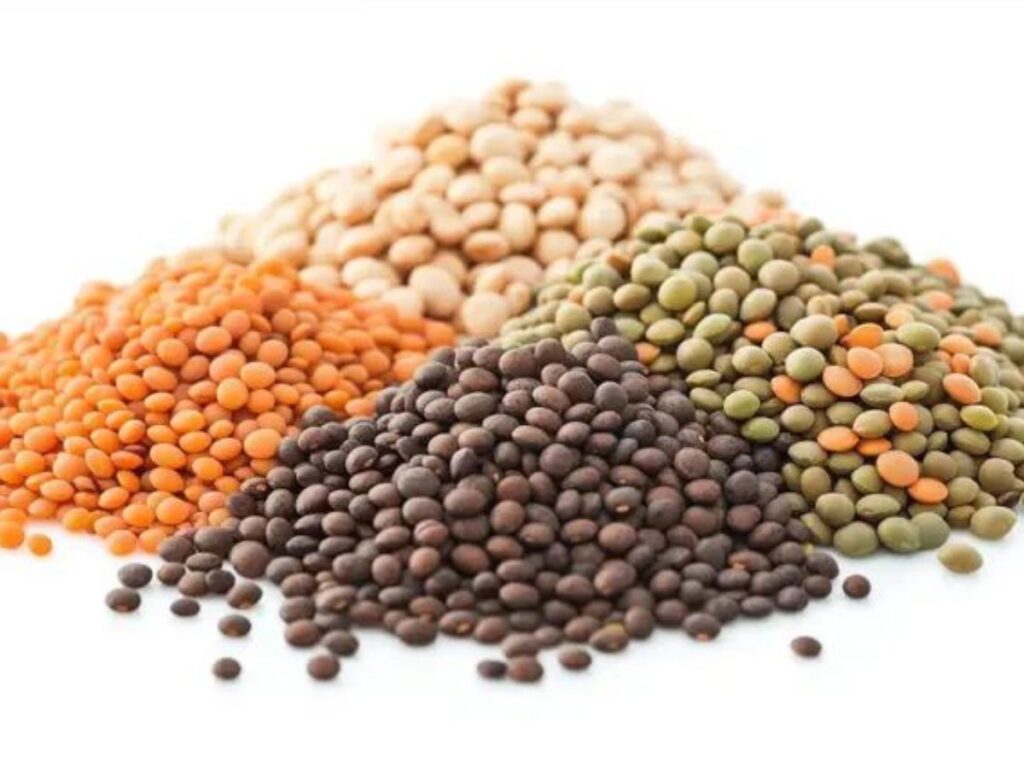High Protein Vegetarian Foods in India